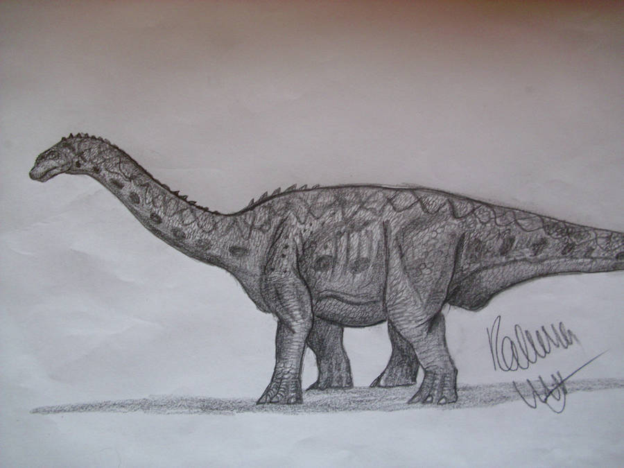Bellusaurus by Teratophoneus