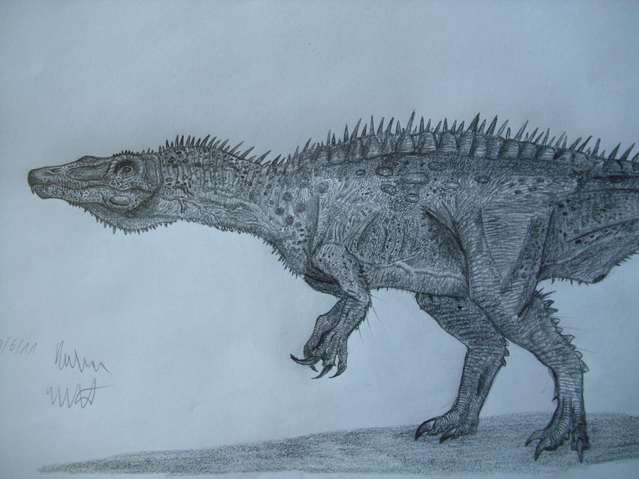 Suchosaurus