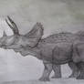 Ojoceratops