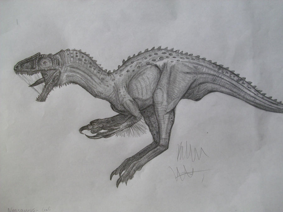 Noasaurus by Teratophoneus