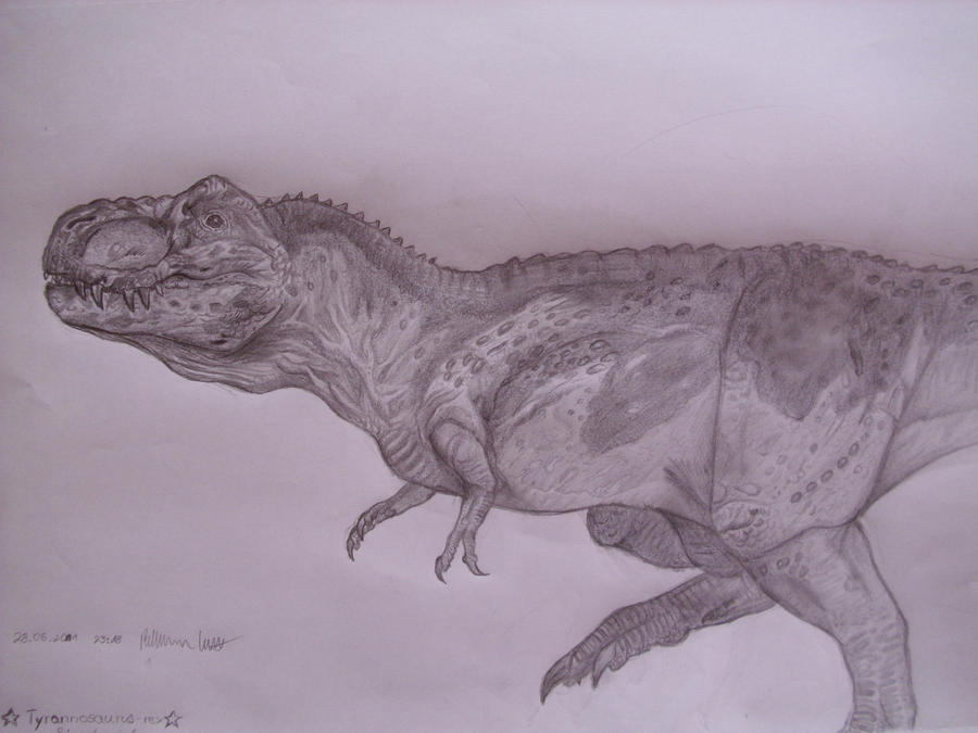 Primeval Tyrannosaurus rex by Teratophoneus on DeviantArt