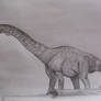 Futalognkosaurus dukei