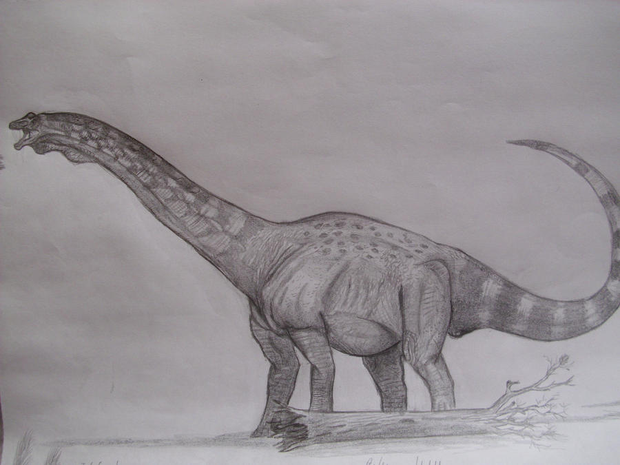Futalognkosaurus dukei by Teratophoneus