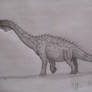 Pelorosaurus conybearei