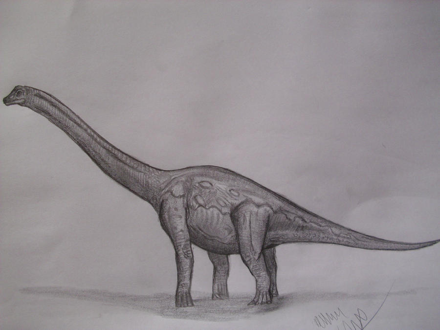 Lusotitan atalaiensis by Teratophoneus