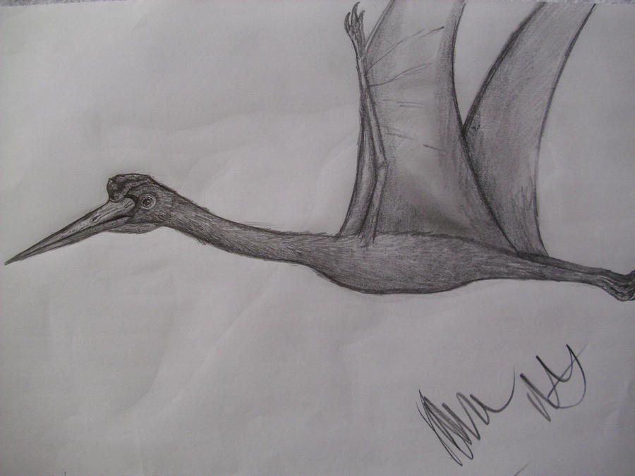 Phosphatodraco