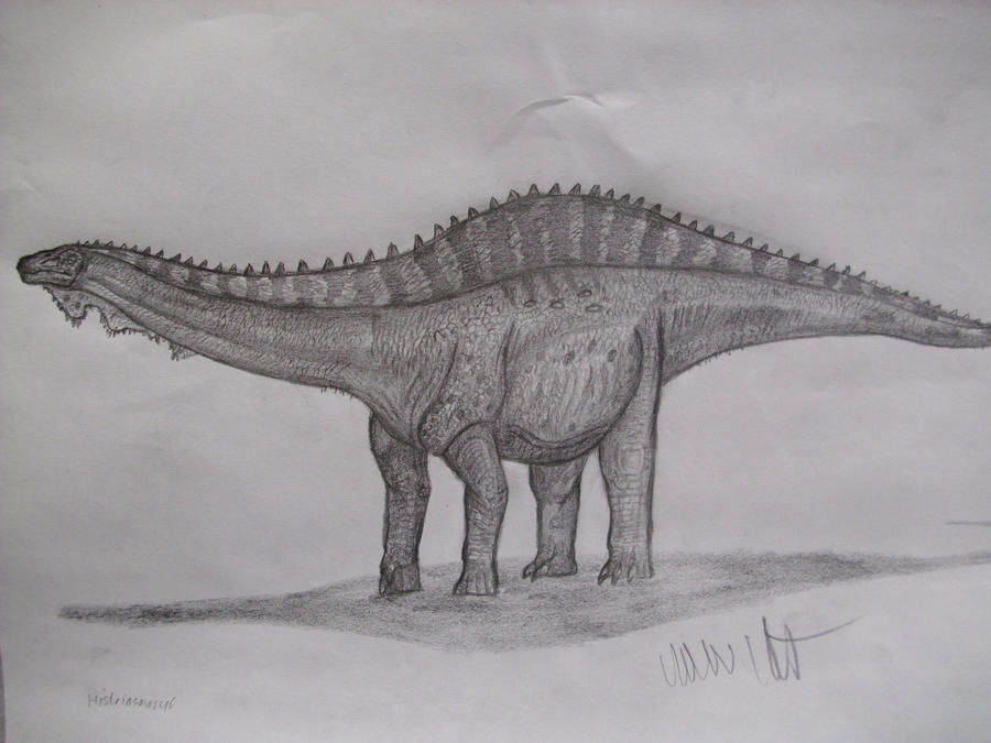 Histriasaurus boscarollii