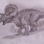 Nasutuceratops titusi