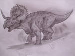 Nasutuceratops titusi