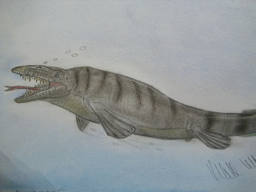 JP-Expanded Hainosaurus