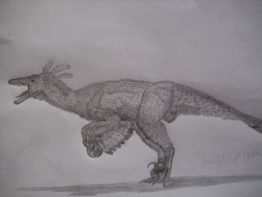 Ornithodesmus cluniculus by Teratophoneus