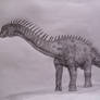Europasaurus holgeri