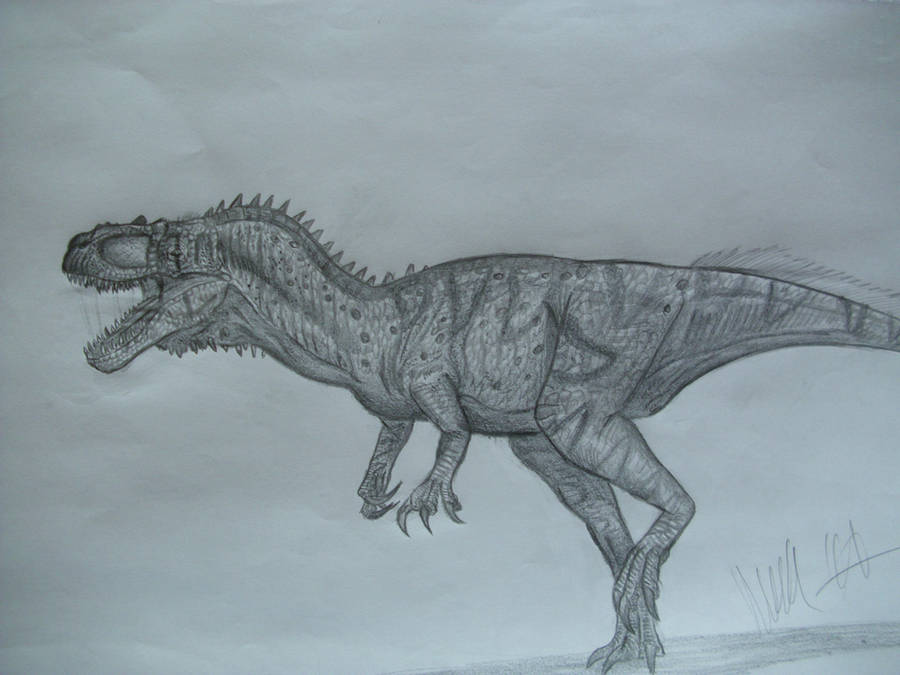 Siamotyrannus isanensis by Teratophoneus