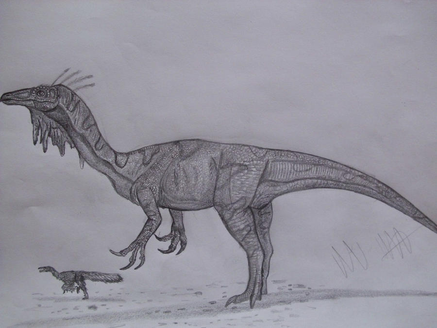 Beishanlong grandis by Teratophoneus