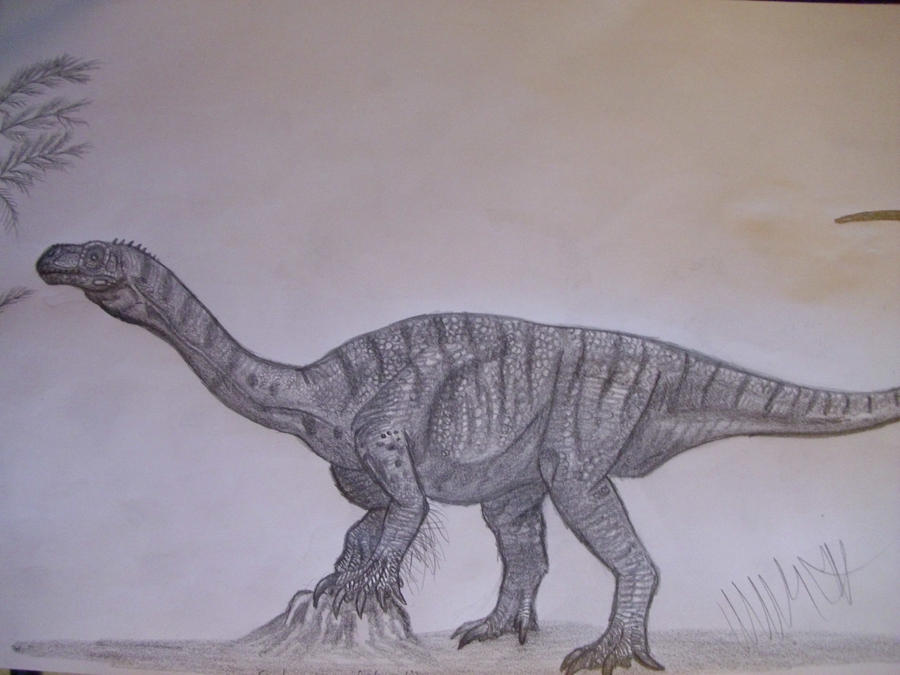 Sarahsaurus aurifontanalis