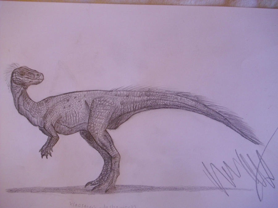 Xiaosaurus dashanpensis