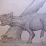 Leptoceratops gracilis