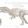 Carcharodontosaurus saharicus