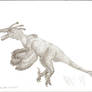 Variraptor mechinorum