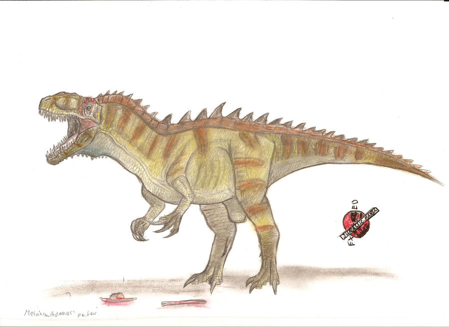 Metrisaurus Drawing JP-Expanded Metriacanthosaurus by Teratophoneus on DeviantArt
