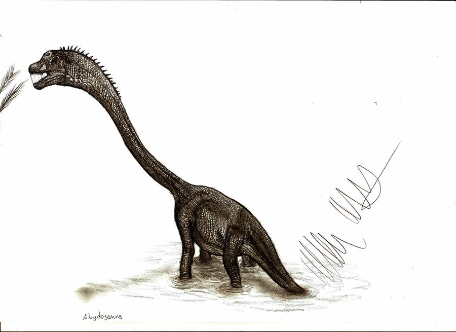 Abydosaurus mcintoshi