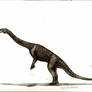Chromogisaurus novasi