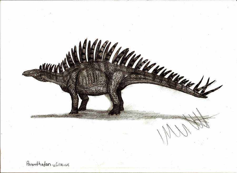 Paranthodon africanus by Teratophoneus