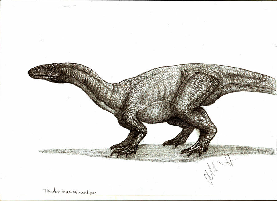 Thecodontosaurus antiquus by Teratophoneus on DeviantArt