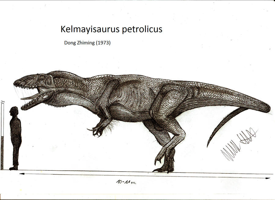 Kelmayisaurus petrolicus