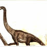 Mamenchisaurus constructus