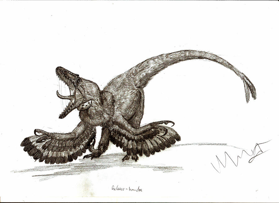 Balaur quick sketch