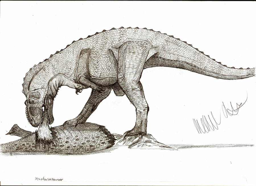 Xenotarsosaurus bonapartei