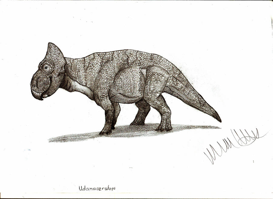 Udanoceratops tschizhovi