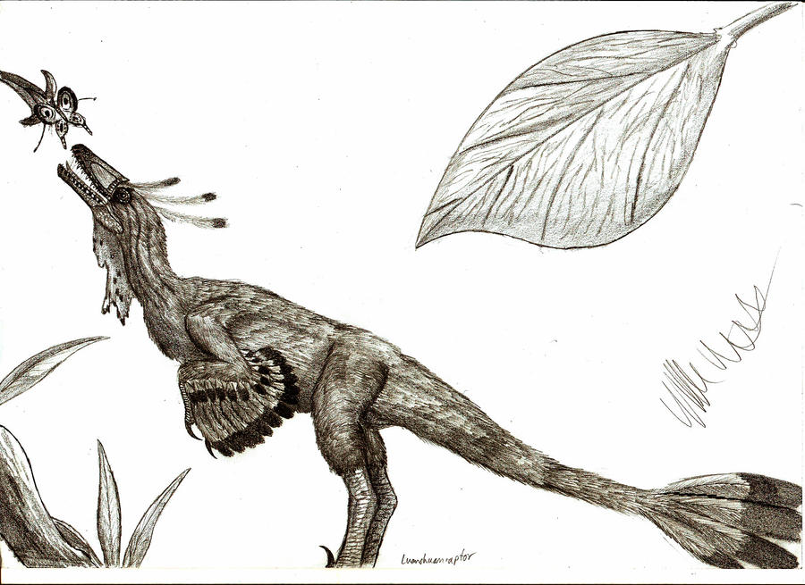 Luanchuanraptor henanensis by Teratophoneus
