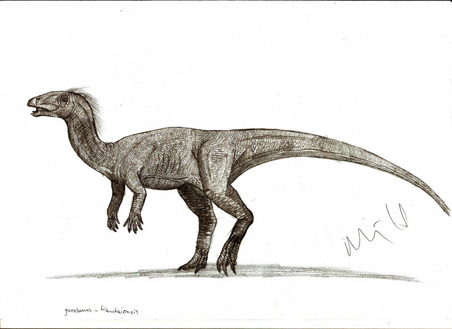 Yueosaurus tiantaiensis by Teratophoneus
