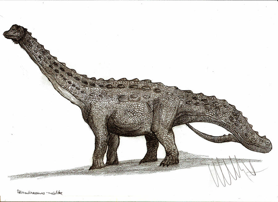 Diamantinasaurus matildae