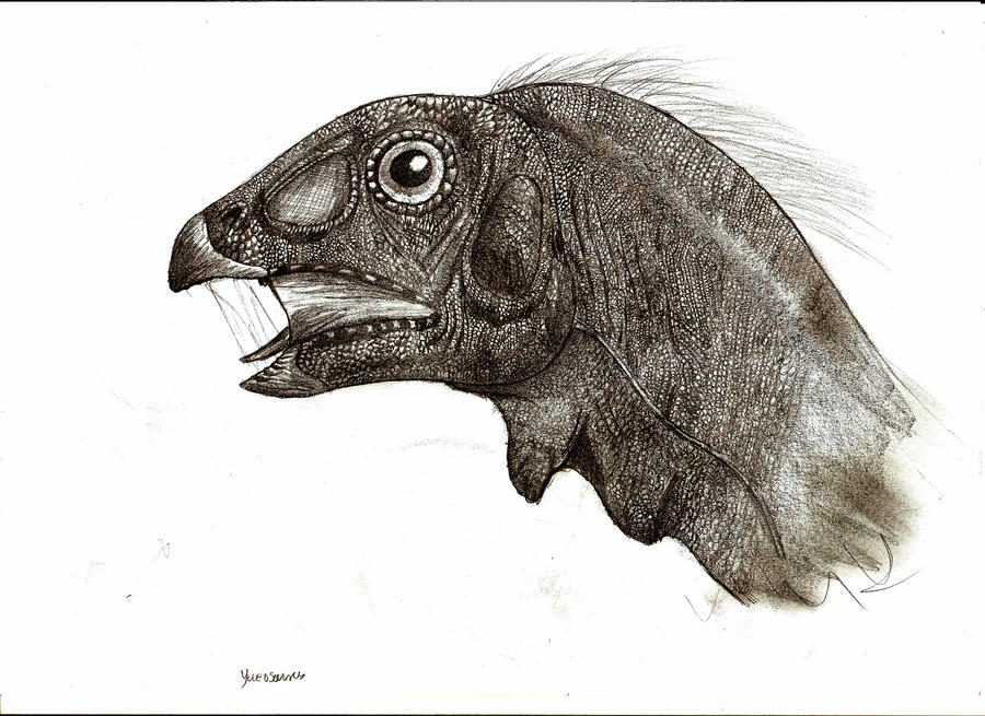 Yueosaurus tiantaiensis