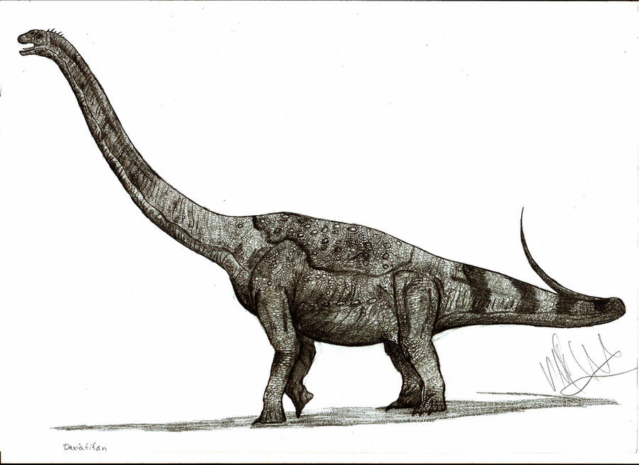 Daxiatitan binglingi by Teratophoneus