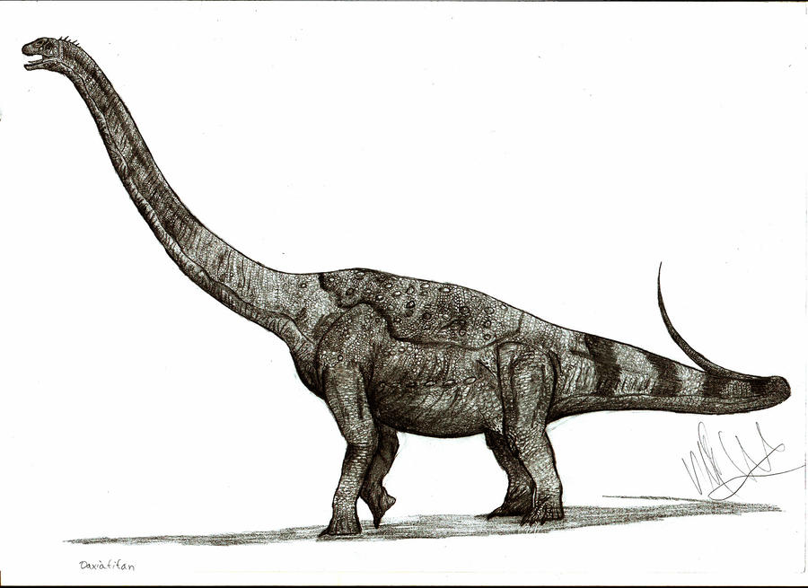 Daxiatitan binglingi
