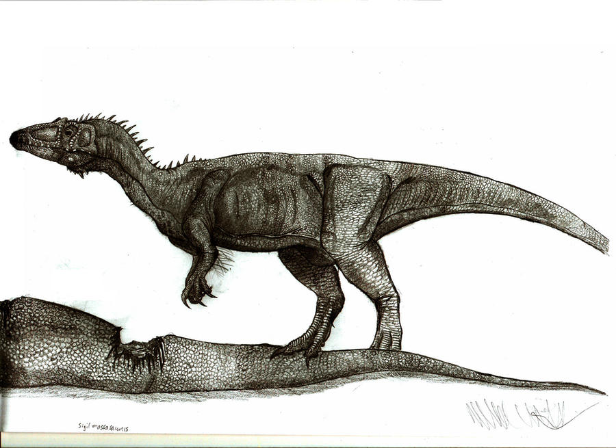 Sigilmassasaurus brevicollis