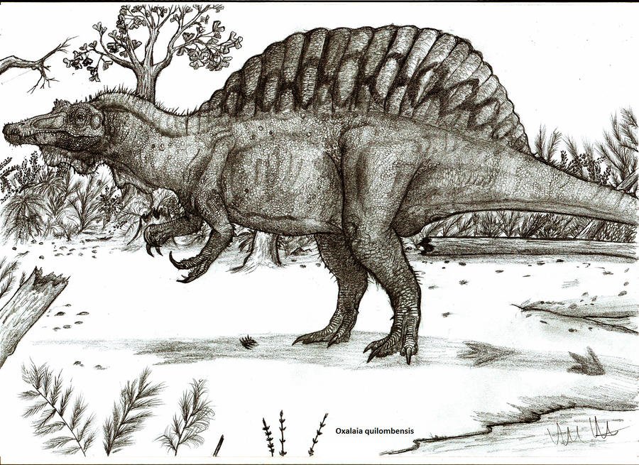 Oxalaia quilombensis