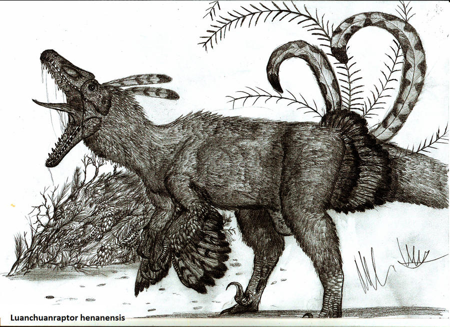 Luanchuanraptor henanensis by Teratophoneus