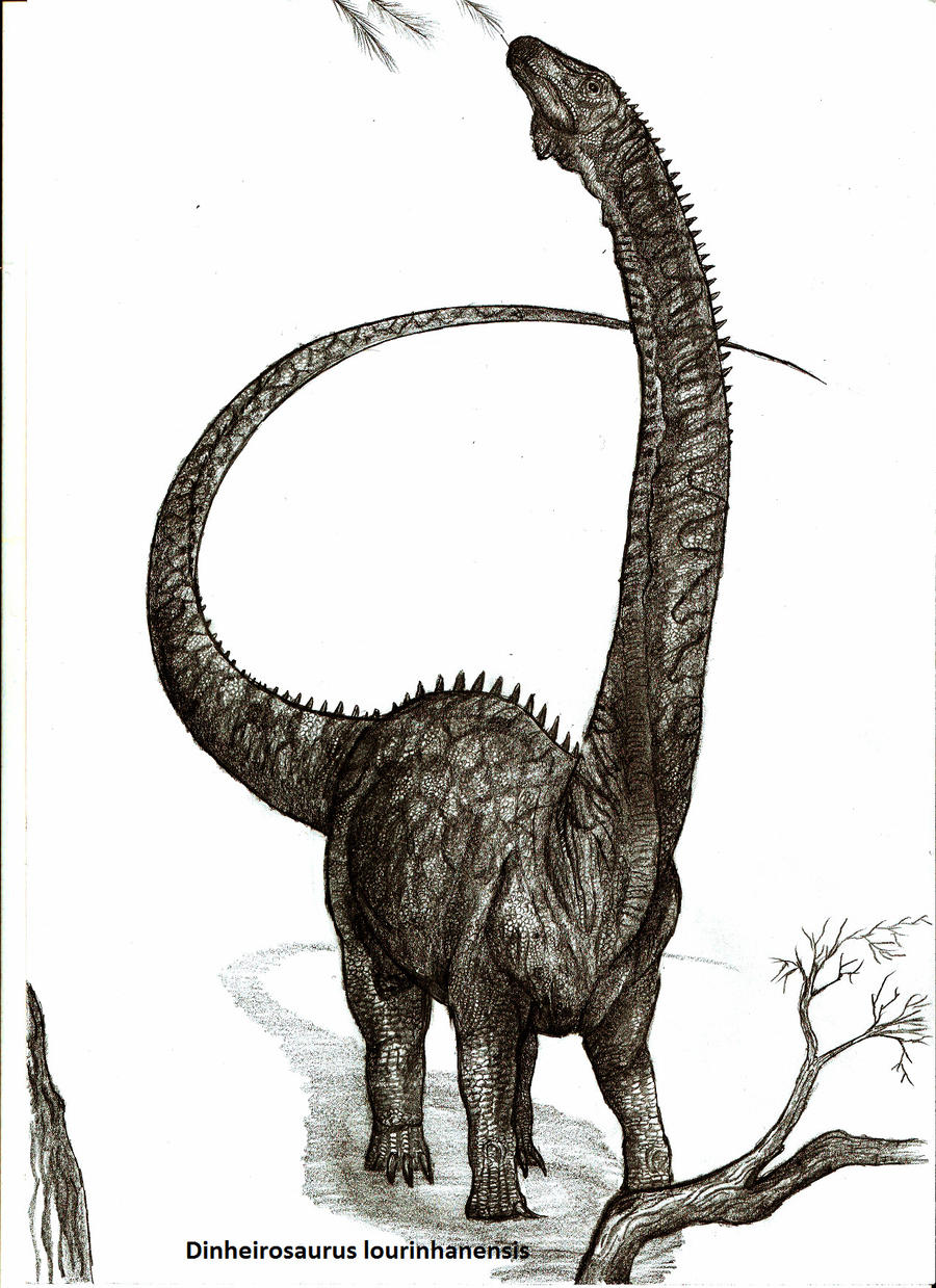 Dinheirosaurus lourinhanensis