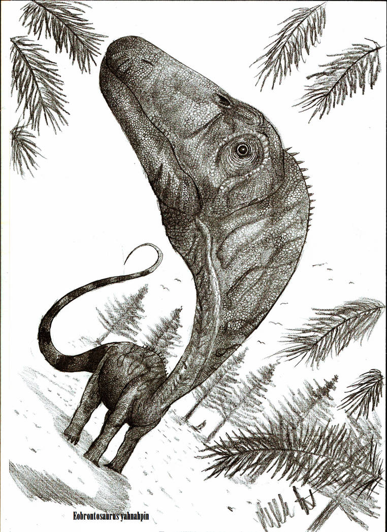 Eobrontosaurus yahnahpin by Teratophoneus