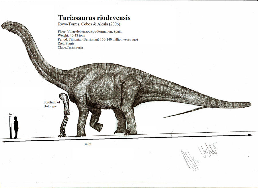 Turiasaurus riodevensis
