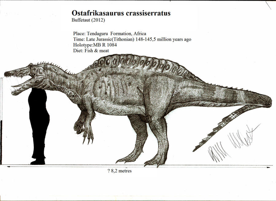 Ostafrikasaurus crassiseratus