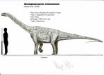 Atsinganosaurus  velauciensis