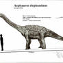 Aepisaurus  elephantinus