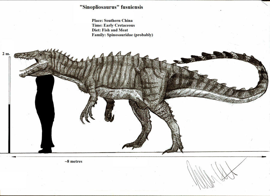 Sinopliosaurus fusuiensis by Teratophoneus