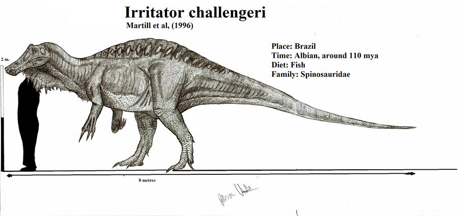 Irritator challengeri